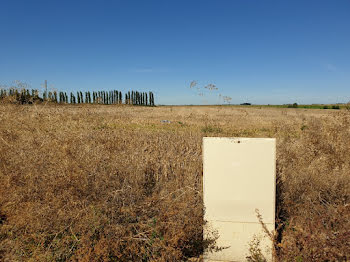 terrain à Le Plessis-Belleville (60)