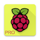 Raspberry Pi PRO Download on Windows