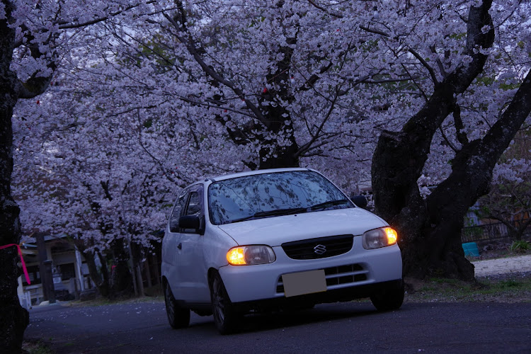 アルトの桜×愛車・桜と愛車・サクラと愛車・桜シーズン開幕に関するカスタム事例の投稿画像4枚目