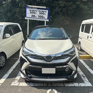 C-HR ZYX11