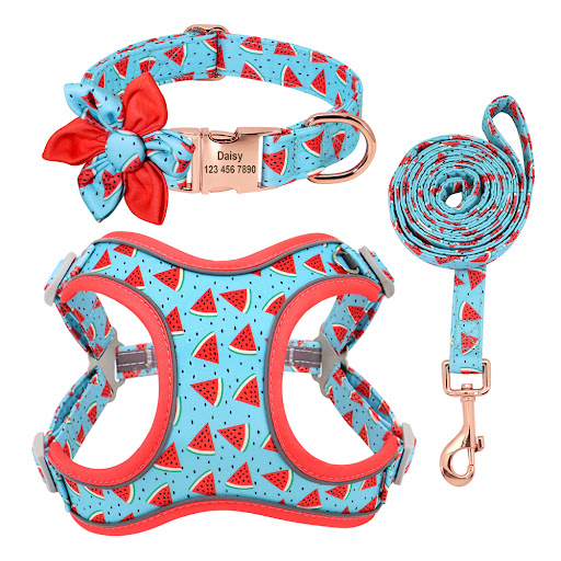 Title 5, Small Dog Leash Teddy Corgi Supplies Collar Per...
