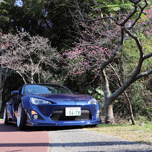 BRZ ZC6