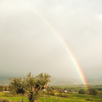 Toscana  La quiete ... di 