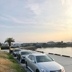 LS