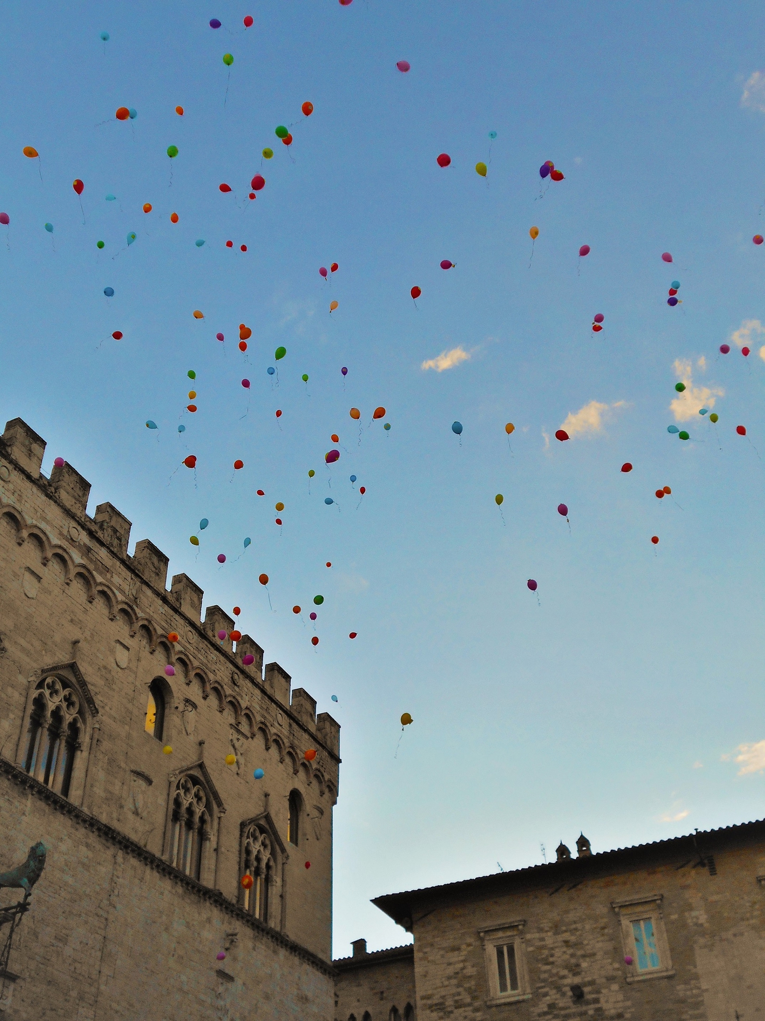 Colori in volo di angela_d