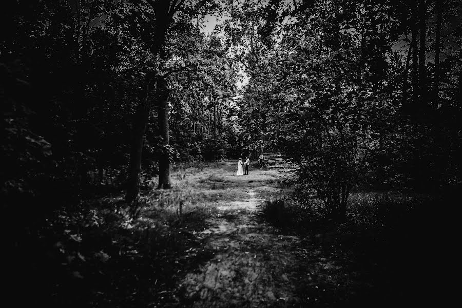 Fotografo di matrimoni Sergey Korobkin (skorobkin). Foto del 10 ottobre 2019