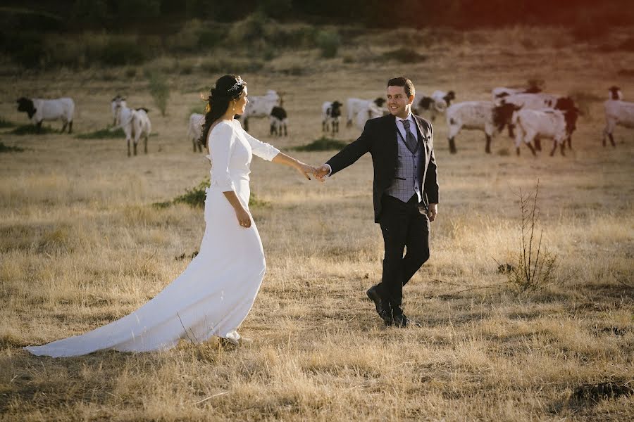 Fotógrafo de casamento Tomás Navarro (tomasnavarro). Foto de 3 de novembro 2022