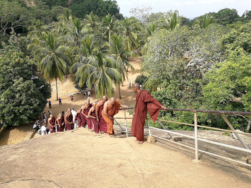 3 недели на Шри-Ланке (декабрь-январь 2019)
