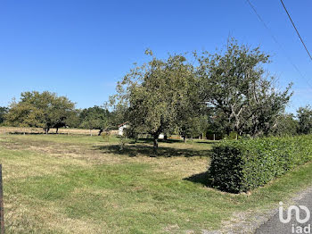 terrain à Molinet (03)