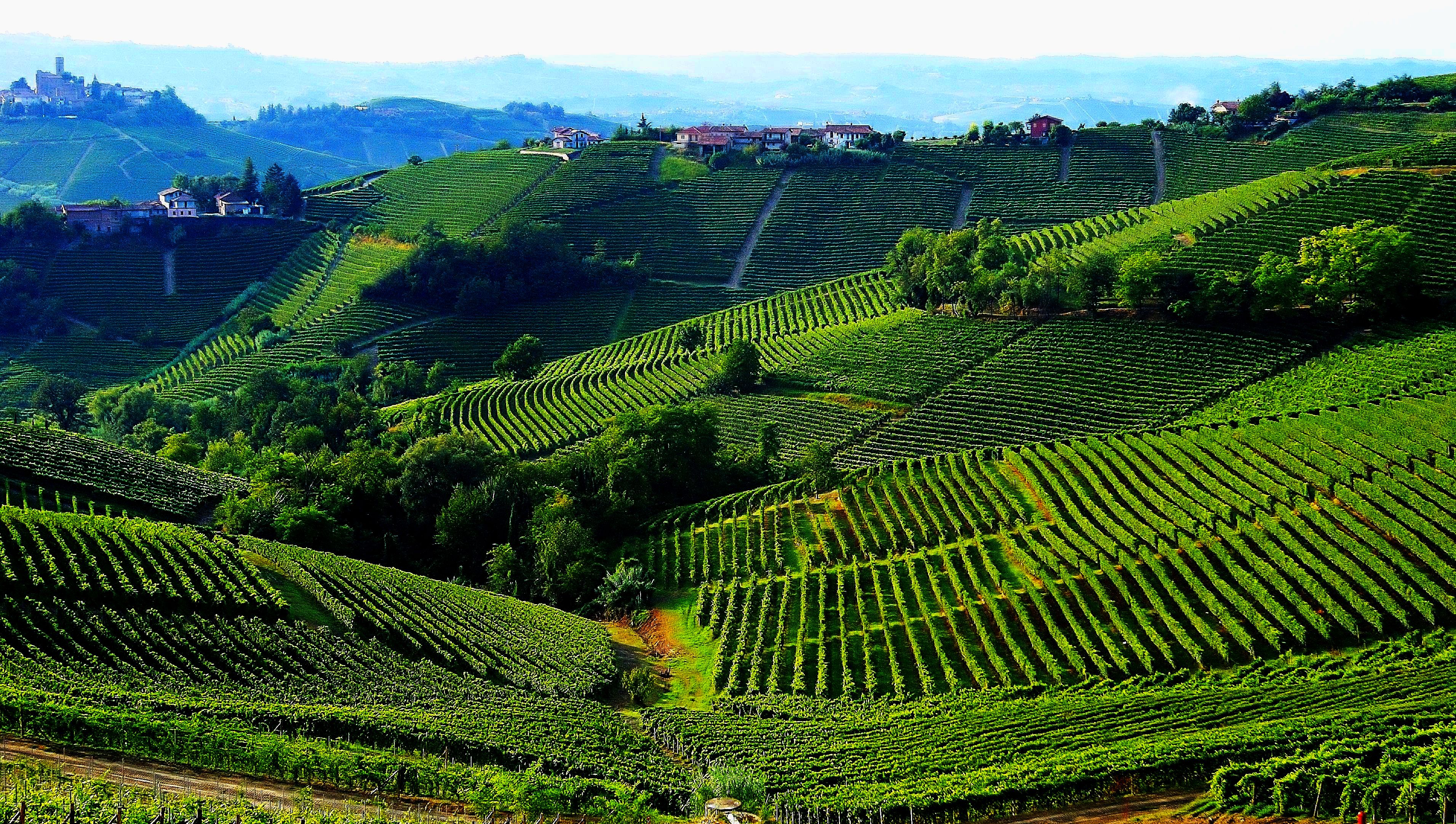 Tra le langhe di ChristianGri