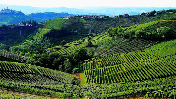 Tra le langhe di ChristianGri