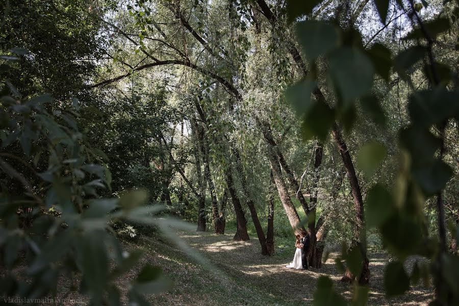 Fotografo di matrimoni Vladislav Malinkin (malinkin). Foto del 19 marzo 2015