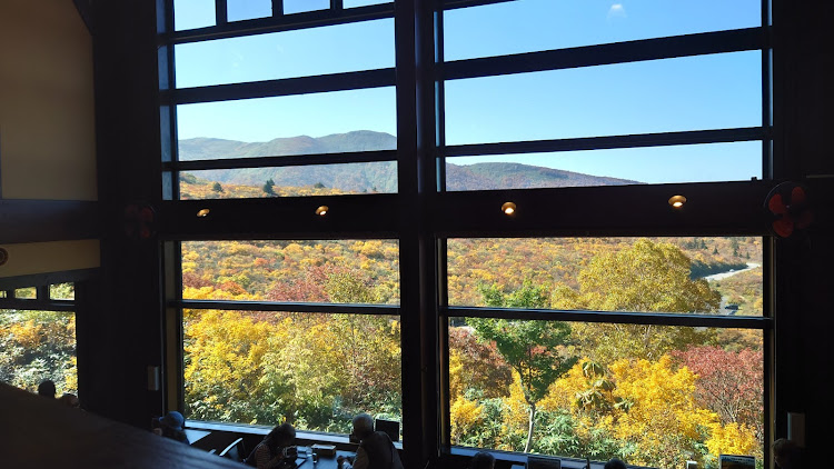 ランサーエボリューションの紅葉と愛車・温泉と紅葉・ドライブに関するカスタム事例の投稿画像8枚目