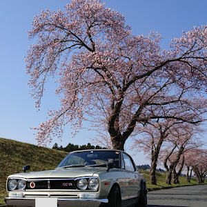 スカイライン GT-R