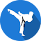 Slika logotipa izdelka za: e-Karate