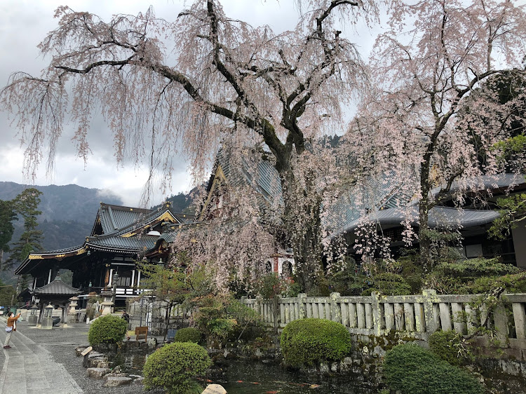 ランサーエボリューションの身延山久遠寺・さくら🌸・ラーメン豚火・ランエボⅩ・久遠寺枝垂れ桜に関するカスタム事例の投稿画像3枚目