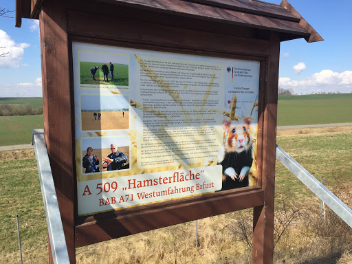 Hamster Rastplatz