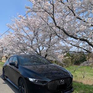 MAZDA3 BP5P