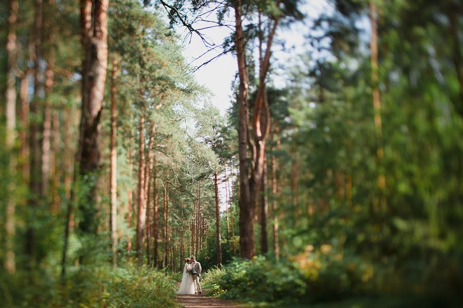 Svadobný fotograf Vladimir Voronin (voronin). Fotografia publikovaná 31. októbra 2016