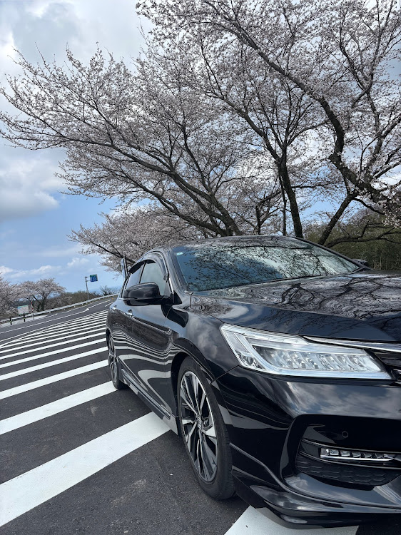 アコードのCR7・アコード・桜と愛車に関するカスタム事例の投稿画像2枚目