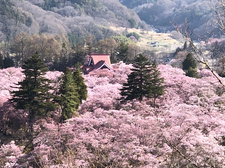 の投稿画像5枚目