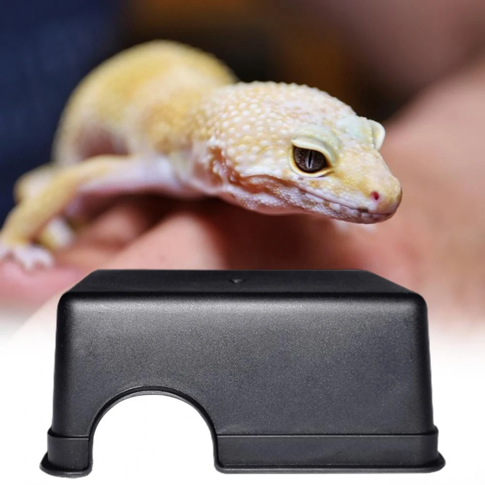 Title 11, Reptile Hideout Multi-use Vivid Texture Lizard ...