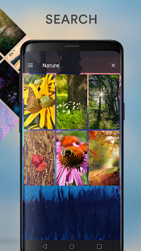 Wallume - HD Wallpapers