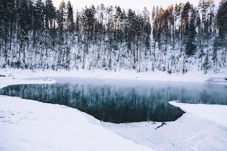 Hochzeitsfotograf Anton Sivov (antonsivov). Foto vom 24. Januar 2016