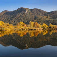 Specchio naturale di 