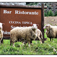 Oggi che si mangia?? di 