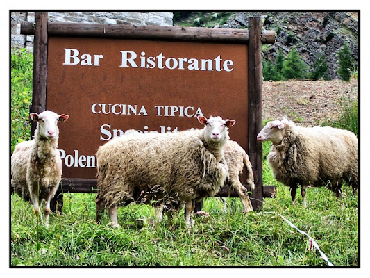 Oggi che si mangia?? di merlino