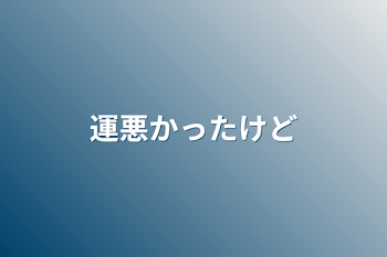 運悪かったけど