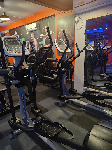 Gallery image 8