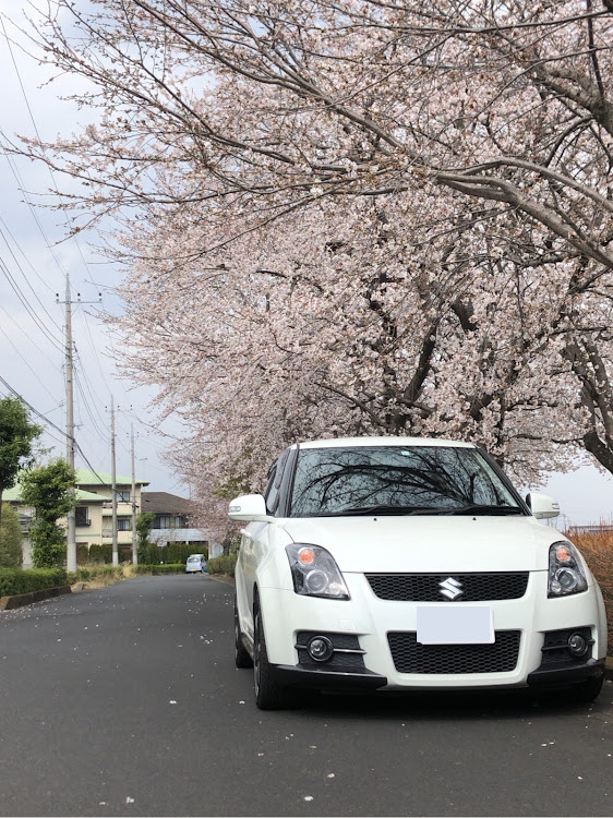 スイフトスポーツのZC31S・桜と愛車・桜とコラボ・桜に関するカスタム事例の投稿画像1枚目