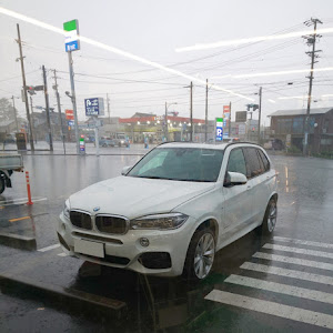X5 F15