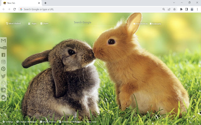 Bunny & Rabbit Wallpaper