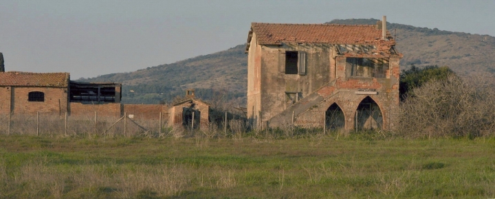 Fra ricordi e nostalgia. di Petruzzo