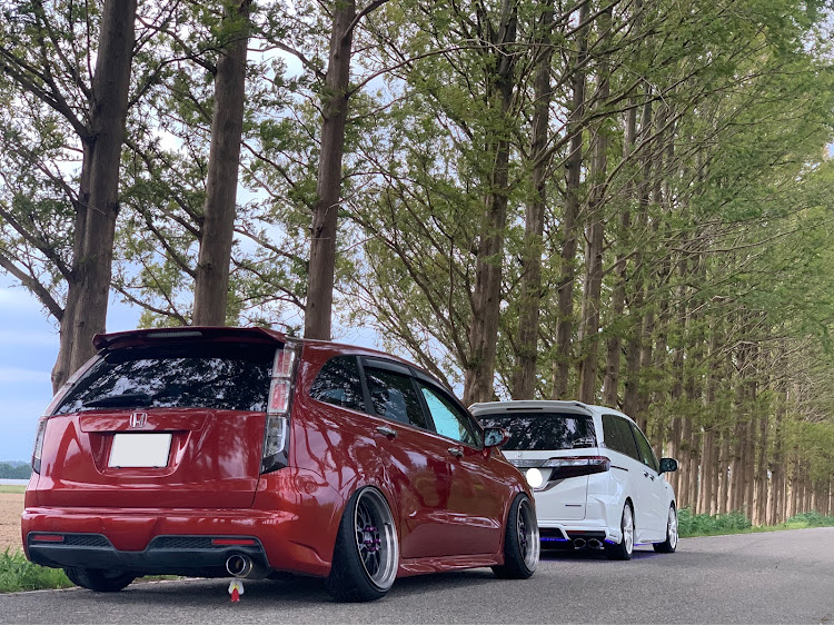 オデッセイのメタセコイヤ並木・フォロワーさんのフォロワーさん・フォローしました😁に関するカスタム事例の投稿画像2枚目