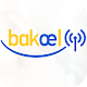 BakoelWIRELESS Download on Windows