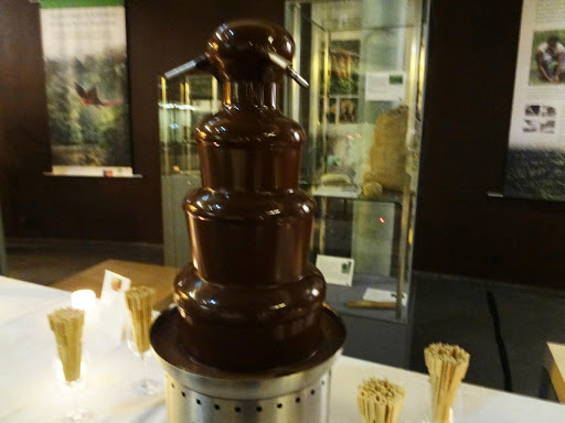 Cologne Cathedral & Chocolate Museum Germany 2014