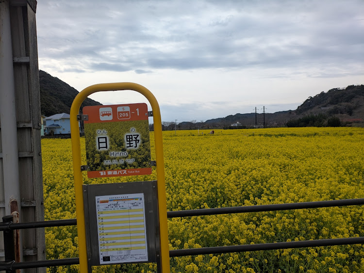 S660のJW5・S660・S660ERT静岡・下賀茂温泉・河津桜に関するカスタム事例の投稿画像6枚目
