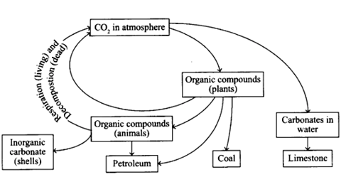 Solution Image