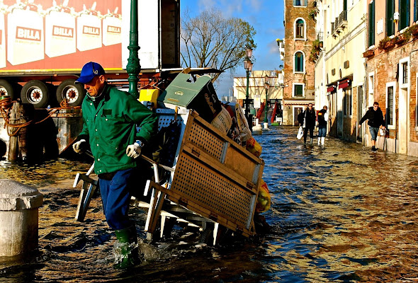 Del trasporto...in ogni condizione di Alessandra Alba