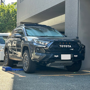 RAV4 MXAA54