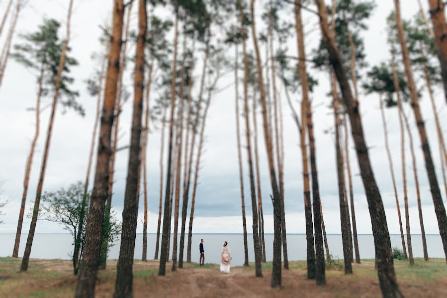 Vestuvių fotografas Nazariy Karkhut (karkhut). Nuotrauka 2017 lapkričio 19