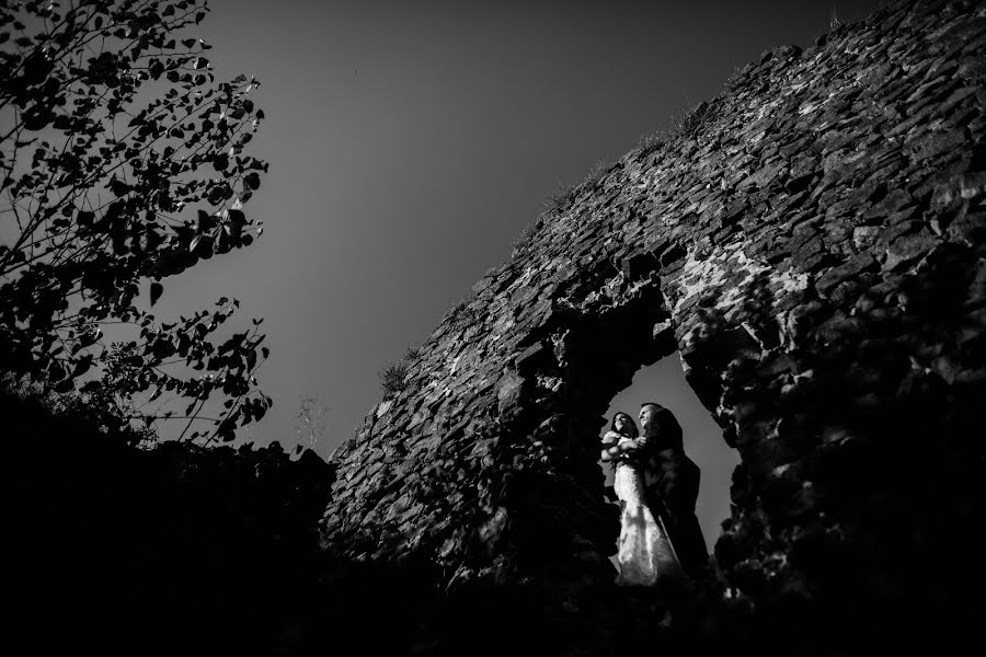 Fotógrafo de casamento Filip Prodanovic (prodanovic). Foto de 24 de janeiro 2018