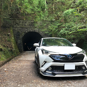 C-HR ZYX10
