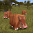 Cute Armadillo Mobs for MCPE icon