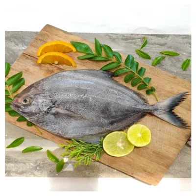 Fish - Black Pomfret / Halwa, Whole - 1 kg