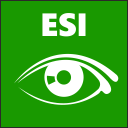 ESI Stylish Chrome extension download